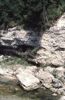 Konglomeratschlucht der Krummen Steyrling im Bereich Mollner Becken: Felswand mit besonnter Felsspaltengesellschaft, Schotterbank mit Pioniervegetation 