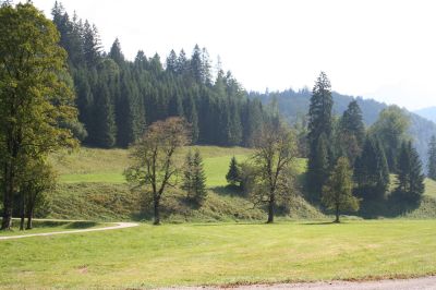 Kulturlandschaft im hinteren Steyrlingtal (Brunnental) mit Intensivgrünland, Terrassenkanten und steilere Bereiche mit mäßig intensiven Weideflächen 