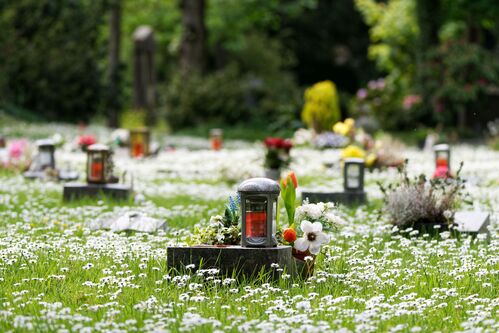 Urnengräber auf einer Blumenwiese