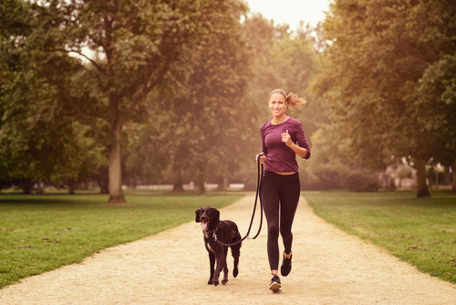 Frau mit Hund die Laufen geht